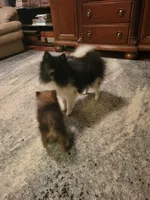 processed/7a60c1b4-9931-41f4-9cb5-3ef1536b48cc/listing/c745dba8-feb3-4e5a-9e53-361fedecedbb/3e6958fd-5f99-4743-88fc-8eed9831434f