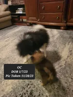 processed/7a60c1b4-9931-41f4-9cb5-3ef1536b48cc/listing/c745dba8-feb3-4e5a-9e53-361fedecedbb/7e138180-d7b6-4012-9c4f-08432144aeb4