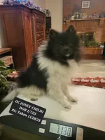 processed/7a60c1b4-9931-41f4-9cb5-3ef1536b48cc/listing/c745dba8-feb3-4e5a-9e53-361fedecedbb/9a402302-08f6-481e-a59d-0cd046f7f006