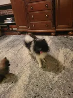 processed/7a60c1b4-9931-41f4-9cb5-3ef1536b48cc/listing/c745dba8-feb3-4e5a-9e53-361fedecedbb/c9915180-1988-44ba-b885-8367bb8e6fed