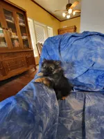 processed/7a60c1b4-9931-41f4-9cb5-3ef1536b48cc/listing/c90a26e3-b724-4e5b-8c49-c69b99d6ac99/0773a015-c0ba-4a7d-9d2e-088098196f1f