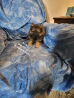 processed/7a60c1b4-9931-41f4-9cb5-3ef1536b48cc/listing/c90a26e3-b724-4e5b-8c49-c69b99d6ac99/8f837b2d-da8d-44d9-b41e-5e4fa946a2e6