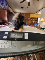 processed/7a60c1b4-9931-41f4-9cb5-3ef1536b48cc/listing/c90a26e3-b724-4e5b-8c49-c69b99d6ac99/c52074aa-58a3-4c87-b042-b6b4a550c42f