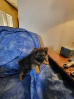 processed/7a60c1b4-9931-41f4-9cb5-3ef1536b48cc/listing/c90a26e3-b724-4e5b-8c49-c69b99d6ac99/e5fce7ca-04d1-436f-8ea7-a4e4cbe78702