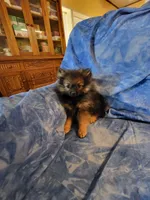 processed/7a60c1b4-9931-41f4-9cb5-3ef1536b48cc/listing/c90a26e3-b724-4e5b-8c49-c69b99d6ac99/e763db3a-d791-41da-a17a-107b0642fd46