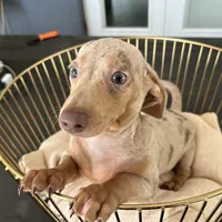 processed/7a665c36-df3b-43dc-a4a9-51685037fa5e/facility/44da62c6-bbff-4a95-971b-770da882c618