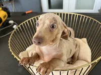 processed/7a665c36-df3b-43dc-a4a9-51685037fa5e/facility/44da62c6-bbff-4a95-971b-770da882c618