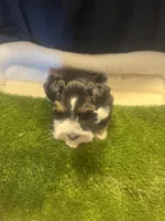 processed/7a68e148-76b3-401e-a49f-4b58105b8a9d/facility/023c6d3c-2093-484e-911f-24177d8d0854