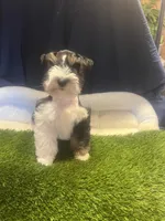 processed/7a68e148-76b3-401e-a49f-4b58105b8a9d/facility/9e786dd0-fedb-4061-9b3a-2cfab8949f67