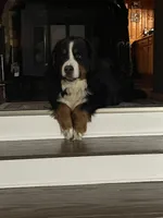 processed/7a74be99-b24a-430f-8af4-ea6fb87cb65f/facility/2811c0a2-4494-425a-ad2e-32ae00775049