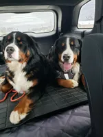 processed/7a74be99-b24a-430f-8af4-ea6fb87cb65f/facility/729ef991-c187-48cd-bced-fd47bd04ba76