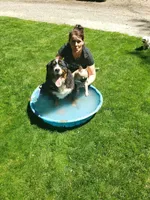 processed/7a74be99-b24a-430f-8af4-ea6fb87cb65f/facility/8212d8c6-0db4-49ec-a01f-6fb6105d1004