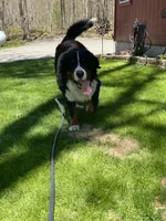 processed/7a74be99-b24a-430f-8af4-ea6fb87cb65f/facility/a3c720f2-3e16-4555-94ff-f6fc89f03e87