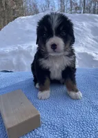 processed/7a74be99-b24a-430f-8af4-ea6fb87cb65f/listing/32303559-c8c7-47a3-8a66-01fda01bfae4/02ac4414-cd92-4ab5-a1a6-c045c71e2ff9