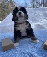 processed/7a74be99-b24a-430f-8af4-ea6fb87cb65f/listing/32303559-c8c7-47a3-8a66-01fda01bfae4/124cea3c-afa8-463a-bbd4-bade7177b45d