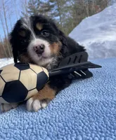 processed/7a74be99-b24a-430f-8af4-ea6fb87cb65f/listing/7579dfb1-8940-4f99-822a-b404d86af22e/9772b50c-a8d8-4cf4-8f4a-b9e3f5f2d7da