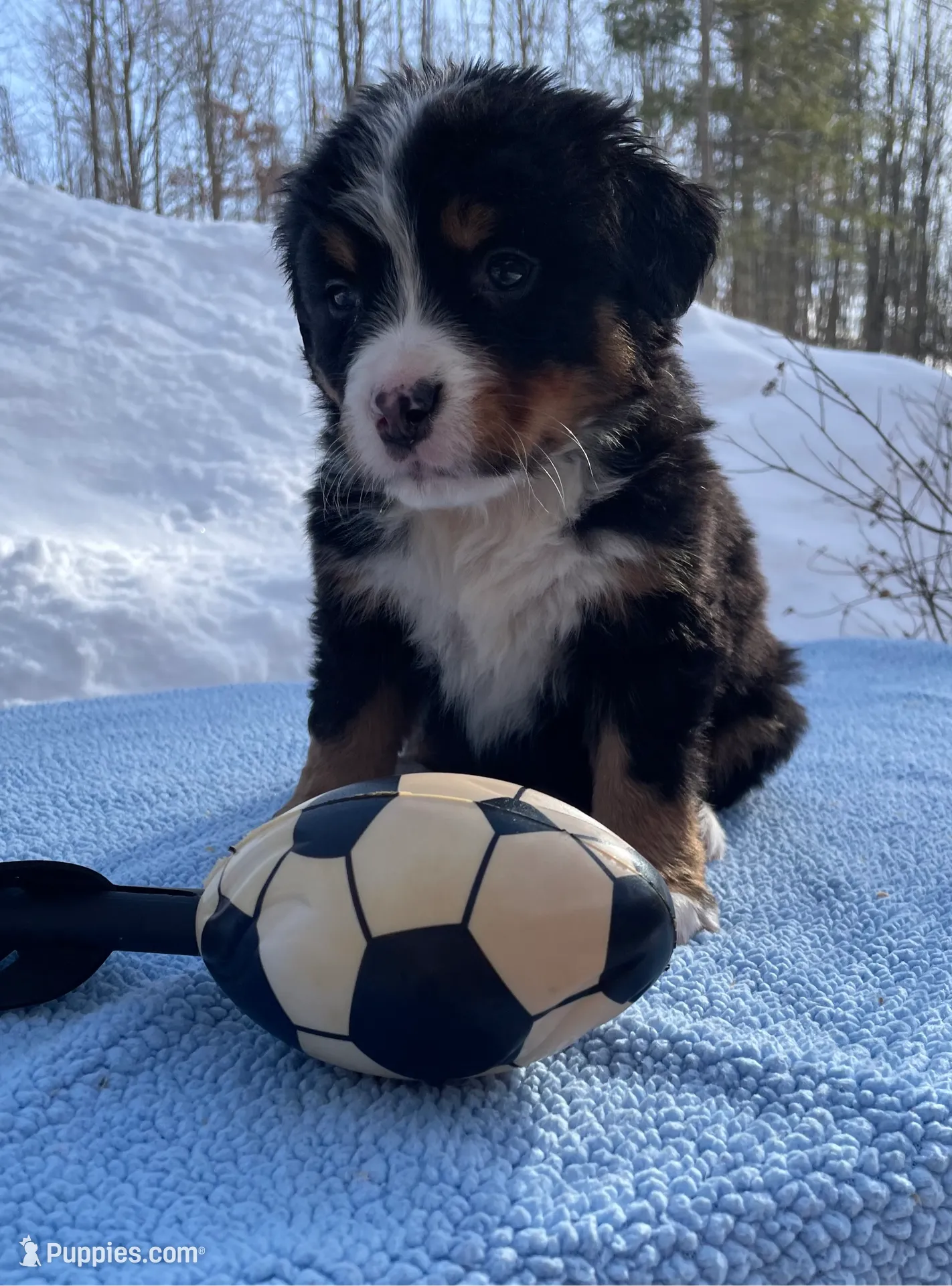 processed/7a74be99-b24a-430f-8af4-ea6fb87cb65f/listing/7579dfb1-8940-4f99-822a-b404d86af22e/d8c46b3e-0f0c-469a-b15e-2c5325932a6a