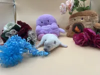 White male polor bear mom, a male Pomeranian for sale in Columbus, MS – Photo 1 of 3