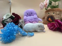 White male polor bear mom, a male Pomeranian for sale in Columbus, MS – Photo 3 of 3