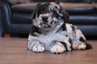 processed/7a96888b-1847-4dbc-8746-065ac43ab311/listing/071c462a-469d-418a-ae13-fa2618c8cce6/0b8070e7-09db-439e-9c8d-1ea1b0b8ae18