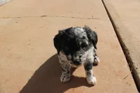 processed/7a96888b-1847-4dbc-8746-065ac43ab311/listing/071c462a-469d-418a-ae13-fa2618c8cce6/b6c7897f-e0d2-4f8f-a265-6130c0c3fba2