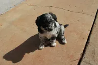 processed/7a96888b-1847-4dbc-8746-065ac43ab311/listing/071c462a-469d-418a-ae13-fa2618c8cce6/e490622a-eaaa-4c95-b443-1fd367de442e