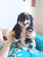 processed/7a96888b-1847-4dbc-8746-065ac43ab311/listing/1171ed8b-7131-4a07-9ffd-5273323018e5/2aefb316-3de5-4273-8f84-8a102d3b5088