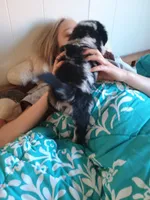 processed/7a96888b-1847-4dbc-8746-065ac43ab311/listing/1171ed8b-7131-4a07-9ffd-5273323018e5/4a42504f-1e2c-4871-b5e4-1af08cfe9534