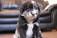 processed/7a96888b-1847-4dbc-8746-065ac43ab311/listing/1171ed8b-7131-4a07-9ffd-5273323018e5/84363087-595f-400d-97b2-220044c5a38e