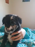 processed/7a96888b-1847-4dbc-8746-065ac43ab311/listing/1171ed8b-7131-4a07-9ffd-5273323018e5/bd25386c-be16-44fa-9931-4ac59075f3dc