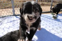 processed/7a96888b-1847-4dbc-8746-065ac43ab311/listing/1171ed8b-7131-4a07-9ffd-5273323018e5/d4046962-3c43-4819-8f5b-6856853fc67b