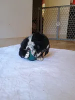 processed/7a96888b-1847-4dbc-8746-065ac43ab311/listing/1171ed8b-7131-4a07-9ffd-5273323018e5/f647a1f9-7438-47ec-8f27-916541d0c059