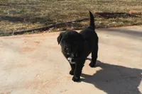 processed/7a96888b-1847-4dbc-8746-065ac43ab311/listing/1a3eaf83-8038-45f2-8742-0187853d8fc2/4a69eb0a-f51a-44bb-8f58-13e8949f9204