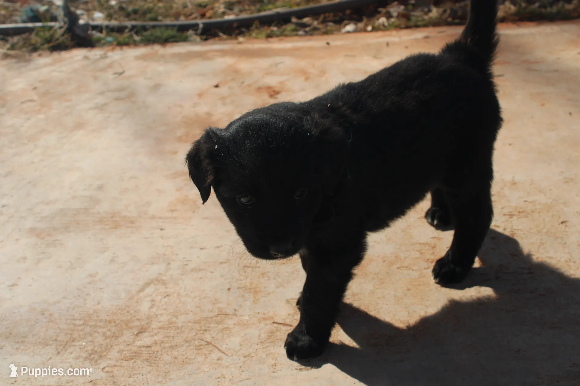 processed/7a96888b-1847-4dbc-8746-065ac43ab311/listing/1a3eaf83-8038-45f2-8742-0187853d8fc2/61e6be12-0234-423f-9db7-96a1efdfd96c