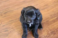 processed/7a96888b-1847-4dbc-8746-065ac43ab311/listing/1a3eaf83-8038-45f2-8742-0187853d8fc2/718195a0-8c51-4e70-9945-cd09128906c9