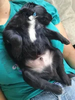 processed/7a96888b-1847-4dbc-8746-065ac43ab311/listing/1a3eaf83-8038-45f2-8742-0187853d8fc2/7e000820-4ad4-4613-8979-b64a3b782b8b