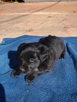 processed/7a96888b-1847-4dbc-8746-065ac43ab311/listing/1a3eaf83-8038-45f2-8742-0187853d8fc2/be846765-2c11-4c16-a87a-2497bca06211