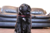 processed/7a96888b-1847-4dbc-8746-065ac43ab311/listing/45ee666a-7387-4df5-ae01-48ddc5df5e09/7a3ef7ff-8dd4-443c-901c-d0ceea06adc7