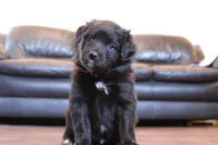 processed/7a96888b-1847-4dbc-8746-065ac43ab311/listing/45ee666a-7387-4df5-ae01-48ddc5df5e09/a4c1a393-c781-4c43-bd67-02455381183e