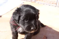 processed/7a96888b-1847-4dbc-8746-065ac43ab311/listing/45ee666a-7387-4df5-ae01-48ddc5df5e09/da77d868-5b50-43a4-b181-5d9fcb771b3d