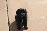 processed/7a96888b-1847-4dbc-8746-065ac43ab311/listing/7e489a4e-9d23-4606-9b8b-0dfc4c9c7f31/21cbe384-5ba2-46ca-b00a-e3f9b4fbeb9e