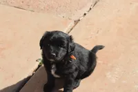 processed/7a96888b-1847-4dbc-8746-065ac43ab311/listing/7e489a4e-9d23-4606-9b8b-0dfc4c9c7f31/b6d98f2b-f6e0-40f5-a171-0f170949ab9a