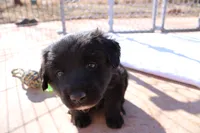 processed/7a96888b-1847-4dbc-8746-065ac43ab311/listing/7e489a4e-9d23-4606-9b8b-0dfc4c9c7f31/febaae33-14a9-458f-9b39-d1785c262993