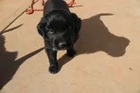 processed/7a96888b-1847-4dbc-8746-065ac43ab311/listing/c5ea53d2-4f31-4c24-8e2d-951c942168ae/09655b1c-eeeb-4392-b9c9-db5cc3a0a3f0