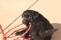 processed/7a96888b-1847-4dbc-8746-065ac43ab311/listing/c5ea53d2-4f31-4c24-8e2d-951c942168ae/2ef51b83-4e06-4e59-b09b-2f1127b42dac