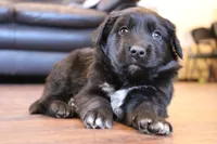 processed/7a96888b-1847-4dbc-8746-065ac43ab311/listing/c5ea53d2-4f31-4c24-8e2d-951c942168ae/9a6b729b-1809-495e-9139-4777198a5dbf