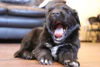 processed/7a96888b-1847-4dbc-8746-065ac43ab311/listing/c5ea53d2-4f31-4c24-8e2d-951c942168ae/f9f6e50d-6276-4b0a-aca3-388c8f41dc9b