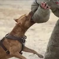 processed/7a981572-1810-469f-ba8f-cbfde4da56ba/facility/29e59696-8454-4ffb-bbd8-defcfd4f8b72