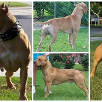 processed/7a981572-1810-469f-ba8f-cbfde4da56ba/facility/3d074715-6ffa-411d-97f8-99bfa7d4a277