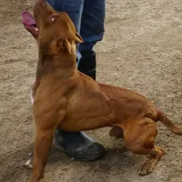 processed/7a981572-1810-469f-ba8f-cbfde4da56ba/facility/3ffe9128-8013-4794-a286-2ccc62d1af86